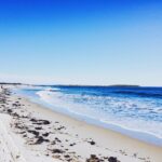 Calm shoreline and ocean waves representing grounding and nervous system regulation